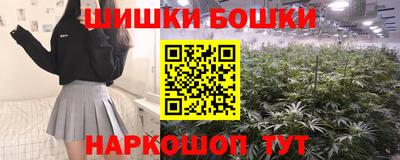 стаф Краснодар
