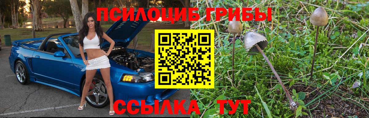 Чернушка  Псилоцибиновые грибы Magic Shrooms  Вход с VPN 