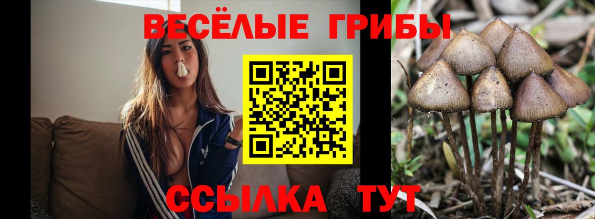 Галлюциногенные грибы мицелий Чернушка